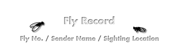 fly records